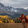 Mt Sneffles and Horse