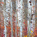 Autumnly