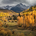 Autumn Glow