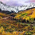 Colorado Gold